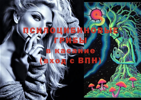 молекула духа Абинск
