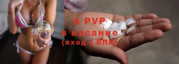 молекула духа Абинск