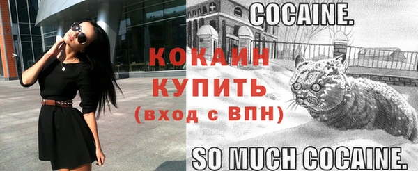 крисы Абдулино