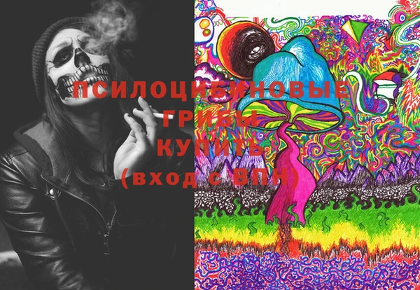 крисы Абдулино