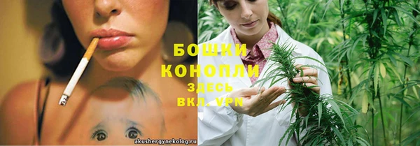мяу мяу мука Абаза